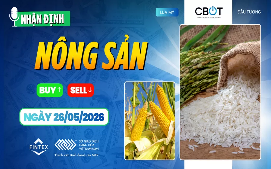 NHẬN ĐỊNH THỊ TRƯỜNG NÔNG SẢN NGÀY 26/05/2026